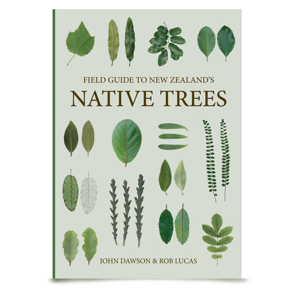 Field Guide to NZ's Native Trees